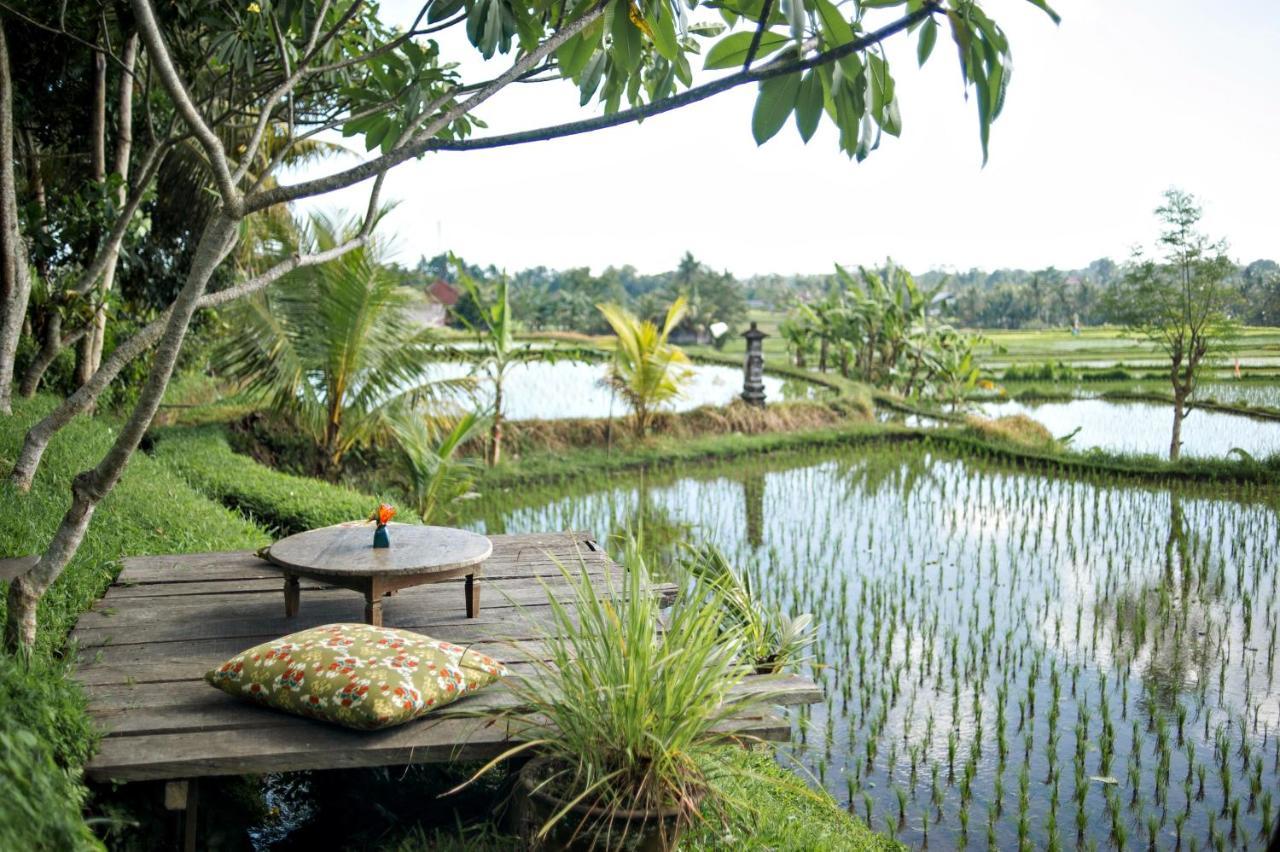 Omah Apik Hotel Ubud Exterior foto