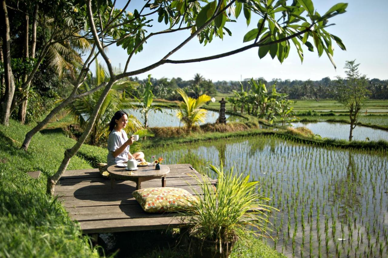 Omah Apik Hotel Ubud Exterior foto